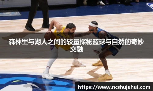 森林里与湖人之间的较量探秘篮球与自然的奇妙交融